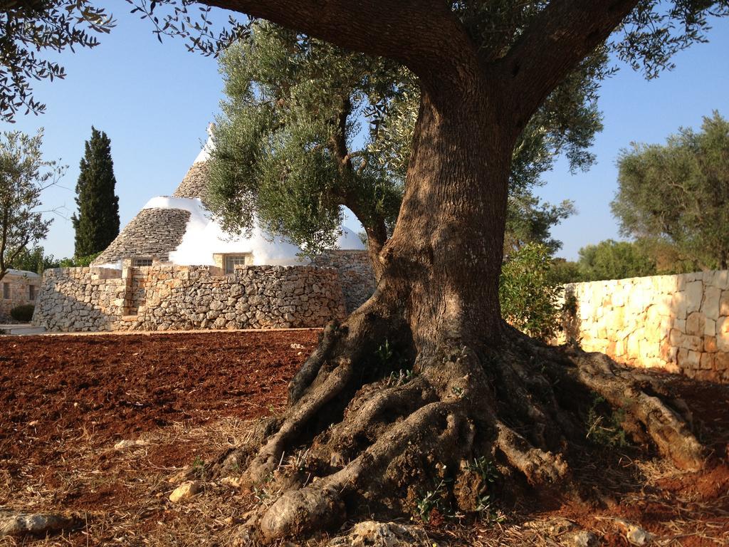 I Trulli Di Alice Villa Ceglie Messapica Bagian luar foto